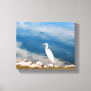 White Heron Canvas Print