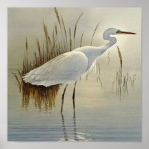 White Heron Watercolour Painting