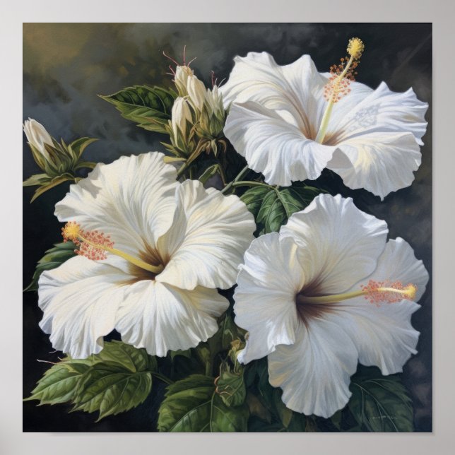 White Hibiscus Flower Art Print Poster (Front)