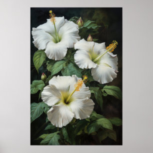 White Hibiscus Flower Art Print Poster