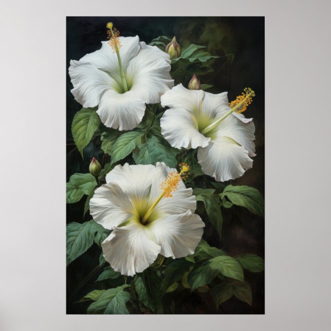 White Hibiscus Flower Art Print Poster (Front)