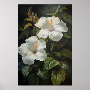 White Hibiscus Flower Art Print Poster