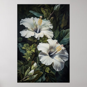White Hibiscus Flower Art Print Poster