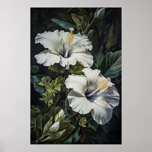 White Hibiscus Flower Art Print Poster (Front)