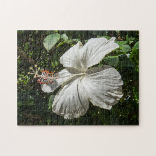 White Hibiscus   Peaceful Nature Jigsaw Puzzle