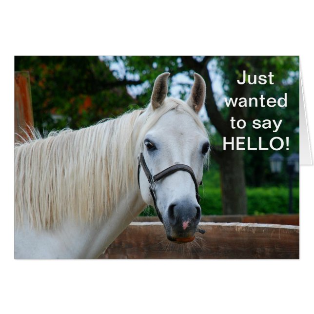 White Horse (Front Horizontal)