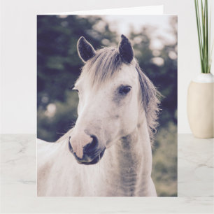 WHITE HORSE BEAUTIFUL BIRTHDAY Greeting Card
