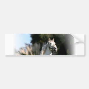 White Horse Bumper Sticker