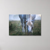 White Horse