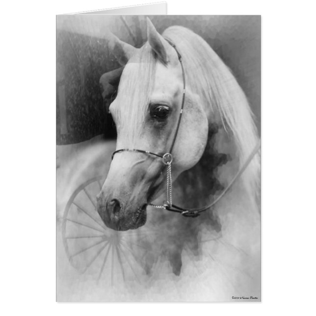 White Horse Card (Front)