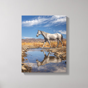 White Horse Desert Pond Reflection Art Canvas Print