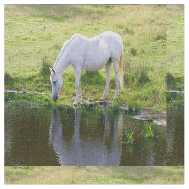 White Horse Drinking Water Fabric (Close Up)
