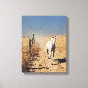 White Horse Dusty Trail Desert Art Canvas Print