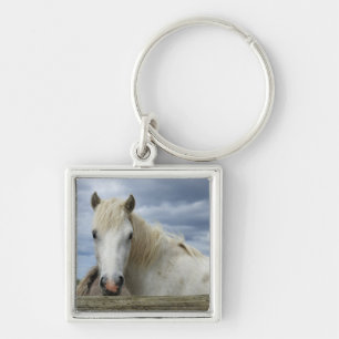 White Horse France Keychain