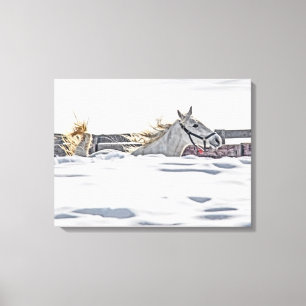 White Horse Galloping In Snow Canvas Print