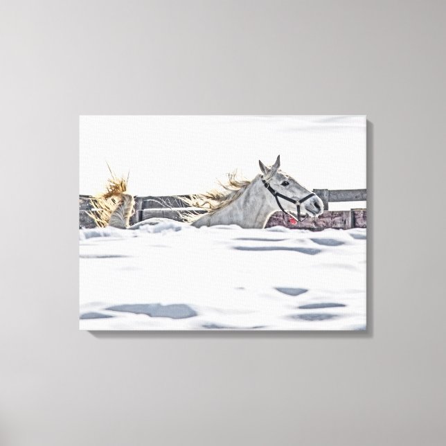 White Horse Galloping In Snow Canvas Print (Front)