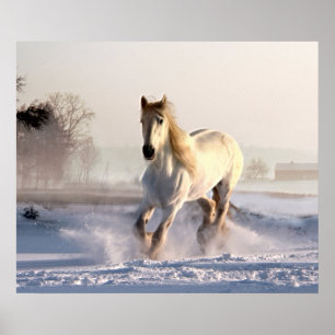 White Horse Galloping Through the Winter Snow Poster