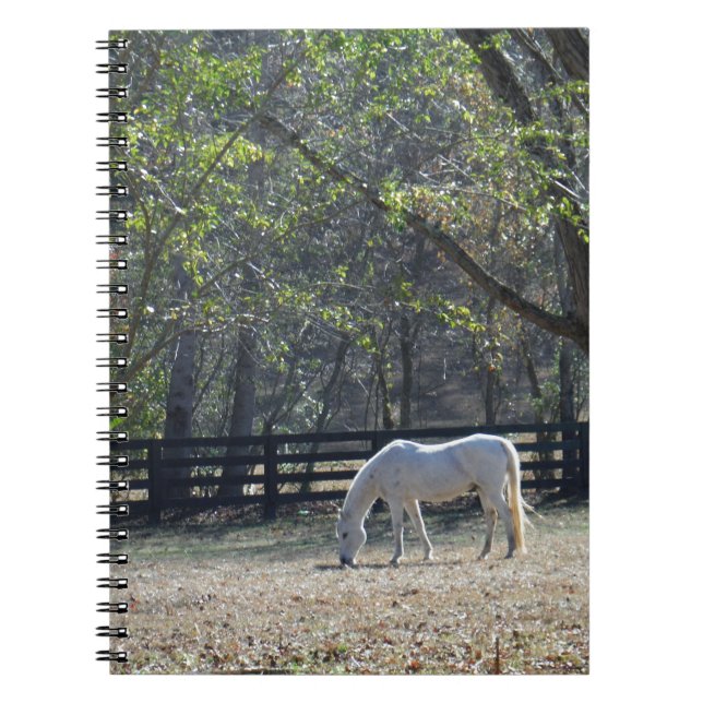 White Horse in trees Notebook (Front)