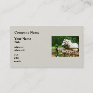 White Horse Looking Away Business Card