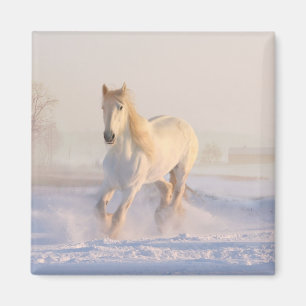 White Horse Lover Western Equestrian Farm Pony Magnet