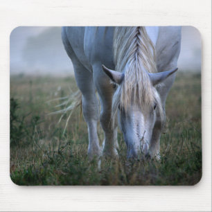 White Horse Mouse Pad