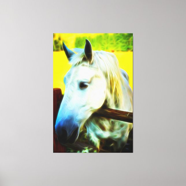 *~* White Horse over Fence AR22 Equine Canvas Print (Front)