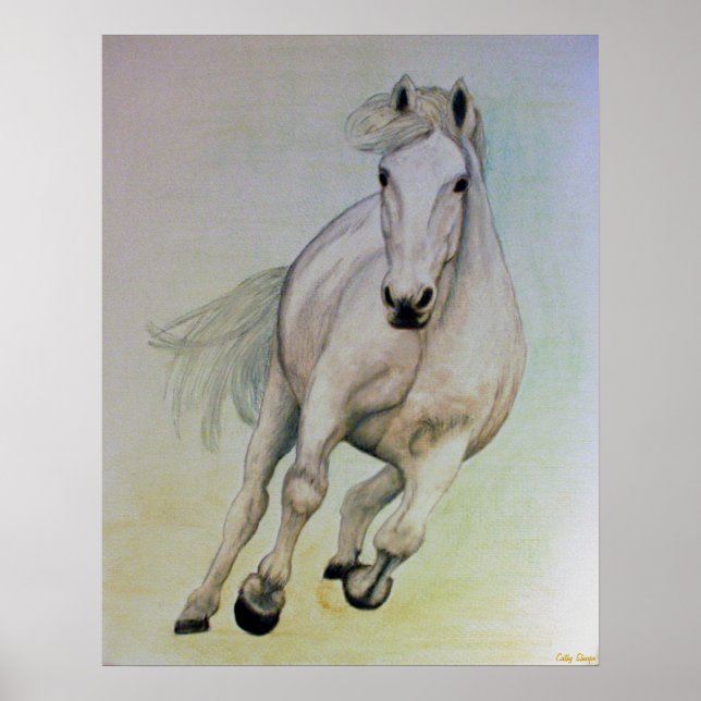 White Horse Poster (Front)