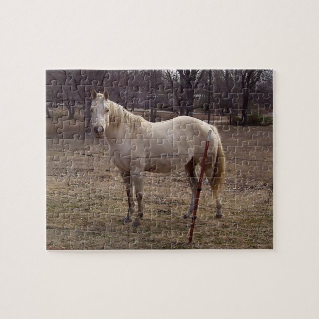 White Horse Puzzle (Horizontal)