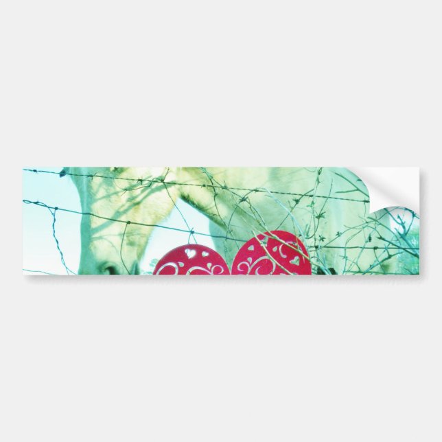 White Horse Red Heart Valentine Bumper Sticker (Front)