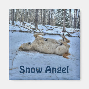 White Horse Rolling in Winter Snow Magnet