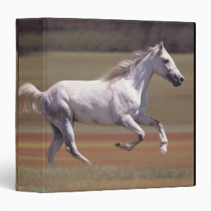 White horse running in field binder