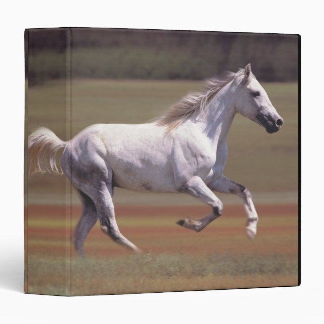 White horse running in field binder (Front/Spine)