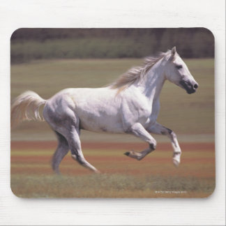 White horse running in field mouse pad