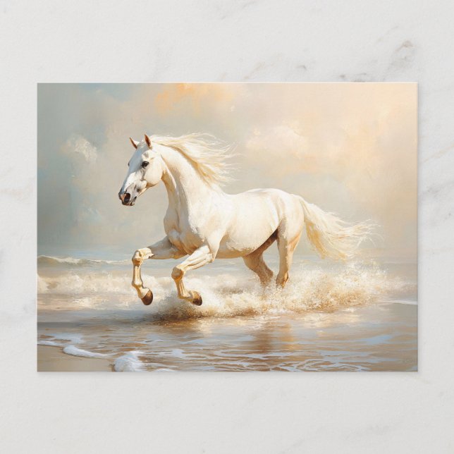 White Horse Running on the Beach Postcard (Front)