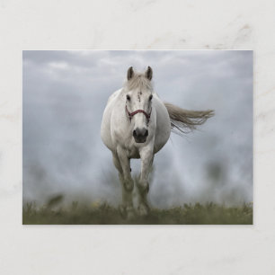 White Horse Running Postcard