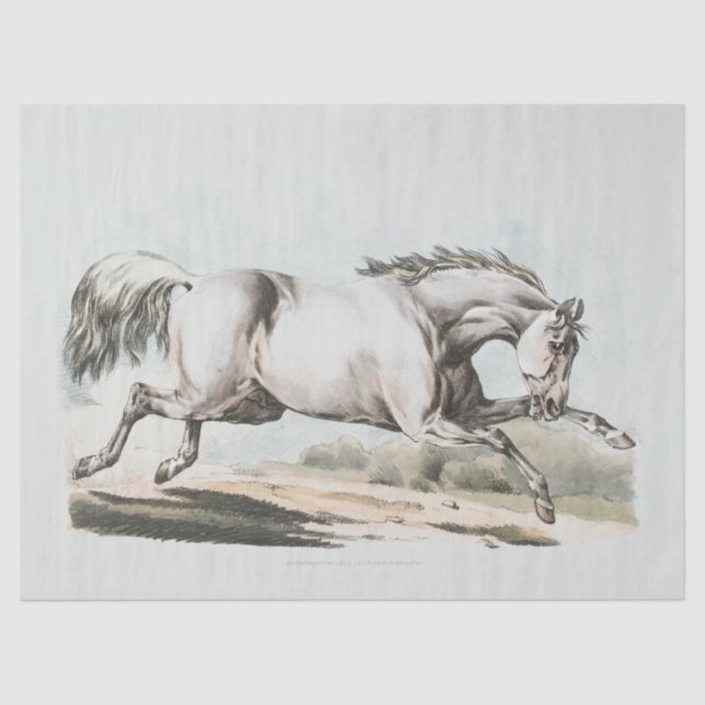 White Horse Running Tissue Paper (Front)