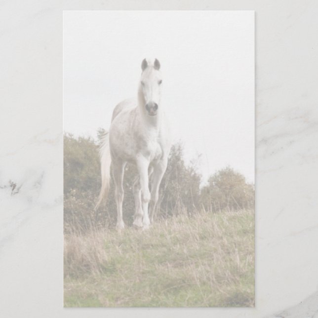 White horse stationery (Front)