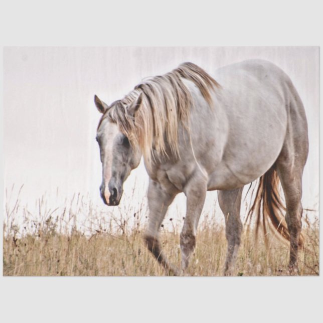 white horse tissue paper (Front)