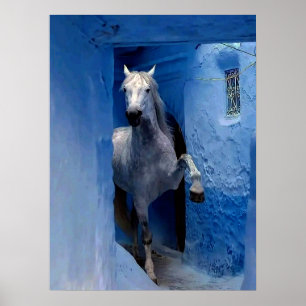 White Horse Travel Poster