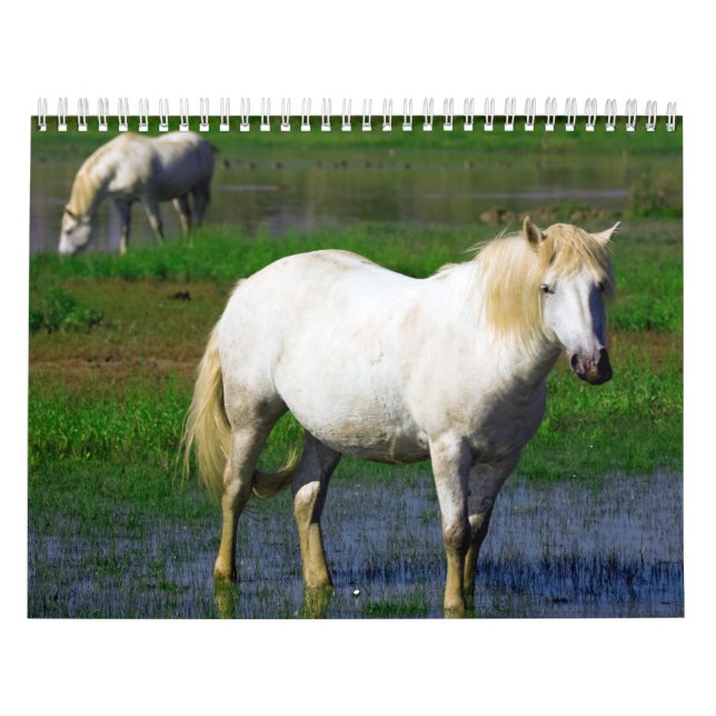 WHITE HORSES CALENDAR (Cover)