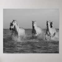 White horses, ocean, black and white photography