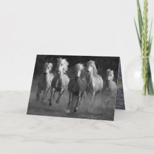 White Horses Run Horse Greeting Card
