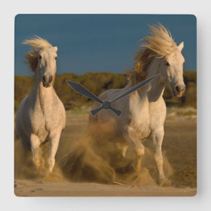 White Horses Running On Beach   Camargue, France Square Wall Clock
