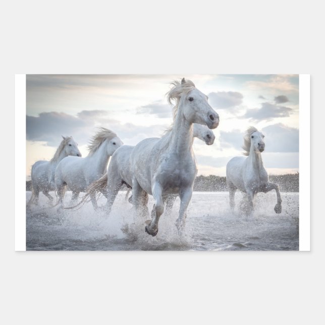 White Horses Sticker (Front)
