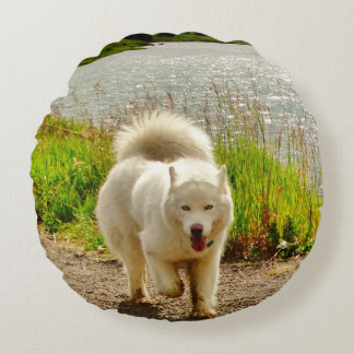White Husky Blue eyes: Round Pillow