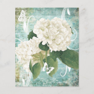 White hydrangea