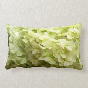 White Hydrangea flower background Lumbar Pillow