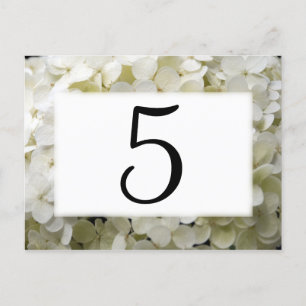 White Hydrangea Flower Table Numbers Postcard