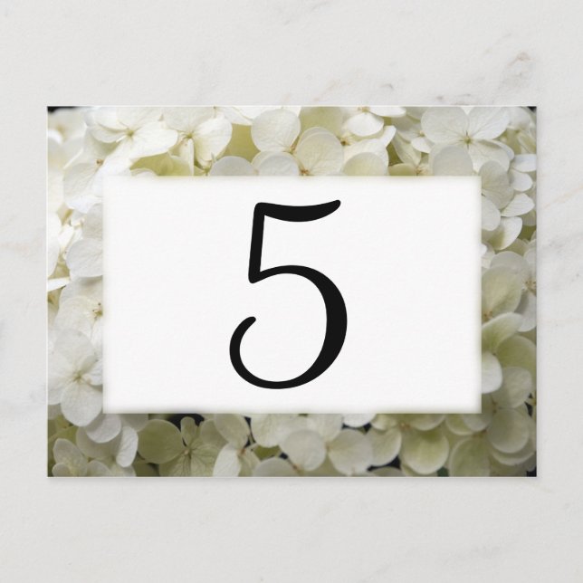 White Hydrangea Flower Table Numbers Postcard (Front)