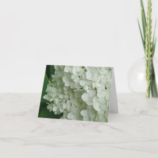 White hydrangea note card